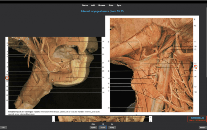 Concepts anki anatomy anybody