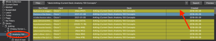 Anki deck anybody does