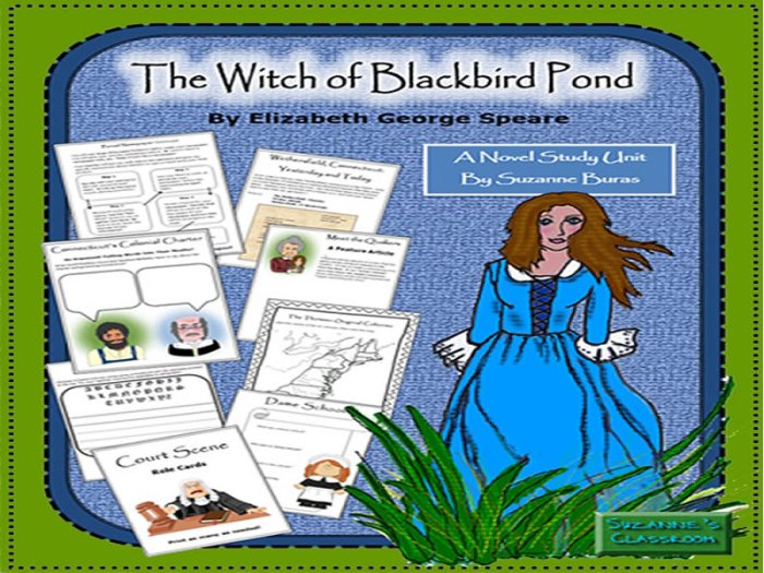 Characters from the witch of blackbird pond